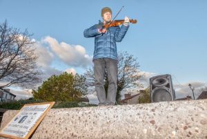 DSC_3528 VIOLIN on plinth